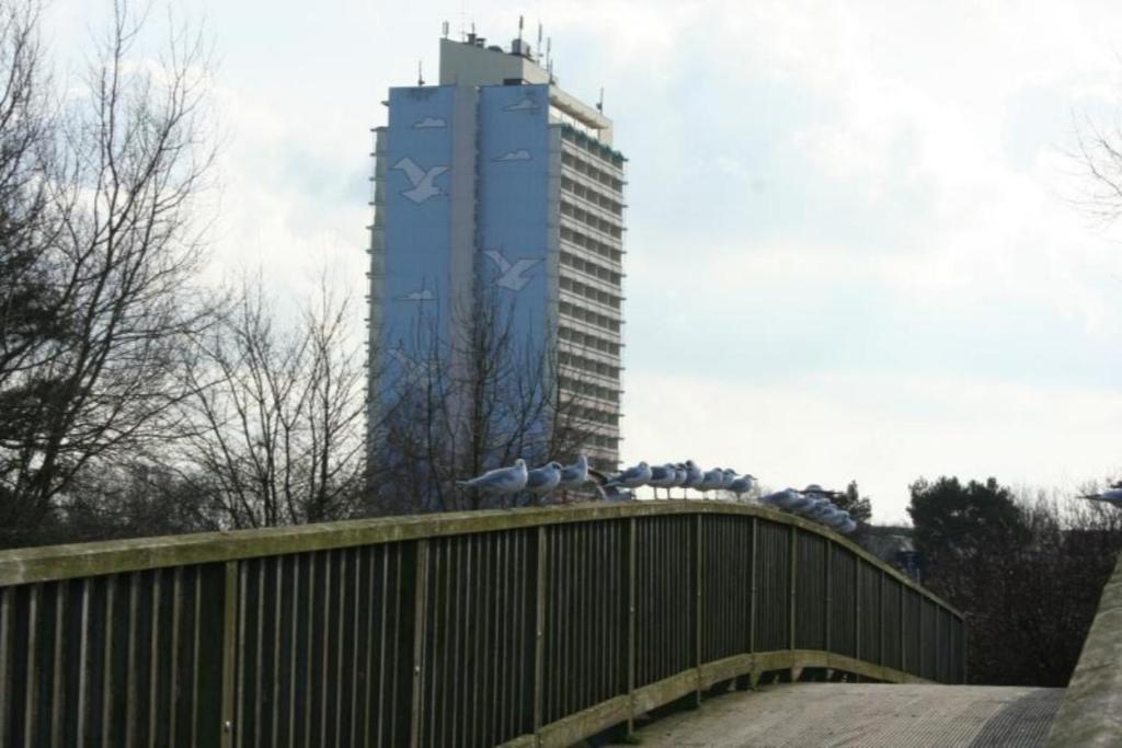 Ostsee-Ferienapartement K217 Fuer 2-4 Personen Brasilien Dış mekan fotoğraf